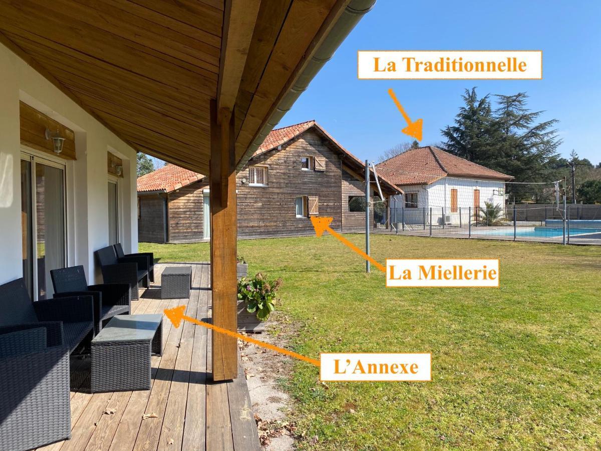 Ensemble de 3 villas avec piscine chauffée, esprit détente Sanguinet Esterno foto